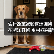 农村改革试验区培训班在浙江开班 乡村振兴新路径如何探索（图3）
