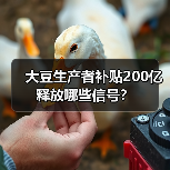 大豆生产者补贴200亿释放哪些信号?(图3) 大豆生产者补贴200亿释放哪些信号?(图3)