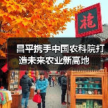 昌平携手中国农科院打造未来农业新高地（图3）