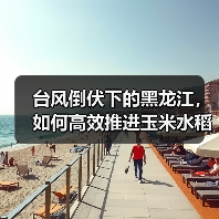 台风倒伏下的黑龙江,如何高效推进玉米水稻机收?(图2) 台风倒伏下的黑龙江,如何高效推进玉米水稻机收?(图2)