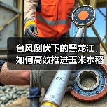台风倒伏下的黑龙江,如何高效推进玉米水稻机收?(图1) 台风倒伏下的黑龙江,如何高效推进玉米水稻机收?(图1)