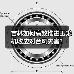 吉林如何高效推进玉米机收应对台风灾害?(图1) 吉林如何高效推进玉米机收应对台风灾害?(图1)