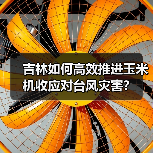 吉林如何高效推进玉米机收应对台风灾害?(图2) 吉林如何高效推进玉米机收应对台风灾害?(图2)