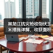 黑龙江抗灾抢收倒伏玉米措施详解,收获面积达326.7万亩(图2) 黑龙江抗灾抢收倒伏玉米措施详解,收获面积达326.7万亩(图2)