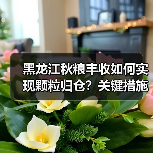 黑龙江秋粮丰收如何实现颗粒归仓?关键措施解读(图2) 黑龙江秋粮丰收如何实现颗粒归仓?关键措施解读(图2)