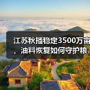 江苏秋播稳定3500万亩,油料恢复如何守护粮食安全?(图4) 江苏秋播稳定3500万亩,油料恢复如何守护粮食安全?(图4)