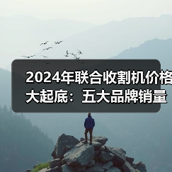 2024年联合收割机价格大起底:五大品牌销量与主销机型全解析(图4) 2024年联合收割机价格大起底:五大品牌销量与主销机型全解析(图4)