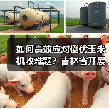 如何高效应对倒伏玉米机收难题?吉林省开展应急培训(图4) 如何高效应对倒伏玉米机收难题?吉林省开展应急培训(图4)