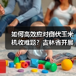 如何高效应对倒伏玉米机收难题?吉林省开展应急培训(图1) 如何高效应对倒伏玉米机收难题?吉林省开展应急培训(图1)