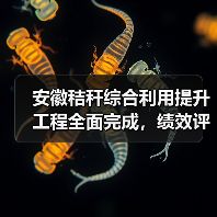 安徽秸秆综合利用提升工程全面完成,绩效评价报告揭晓(图4) 安徽秸秆综合利用提升工程全面完成,绩效评价报告揭晓(图4)
