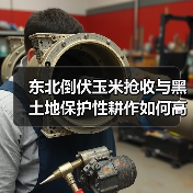 东北倒伏玉米抢收与黑土地保护性耕作如何高效推进？（图2）