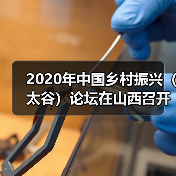 2020年中国乡村振兴(太谷)论坛在山西召开(图2) 2020年中国乡村振兴(太谷)论坛在山西召开(图2)