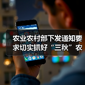 农业农村部下发通知要求切实抓好“三秋”农机安全生产工作(图1) 农业农村部下发通知要求切实抓好“三秋”农机安全生产工作(图1)