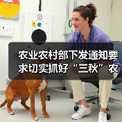 农业农村部下发通知要求切实抓好“三秋”农机安全生产工作(图4) 农业农村部下发通知要求切实抓好“三秋”农机安全生产工作(图4)