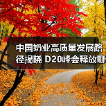 中国奶业高质量发展路径揭晓 D20峰会释放哪些关键信号?(图2) 中国奶业高质量发展路径揭晓 D20峰会释放哪些关键信号?(图2)