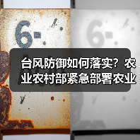 台风防御如何落实?农业农村部紧急部署农业防灾减损措施(图4) 台风防御如何落实?农业农村部紧急部署农业防灾减损措施(图4)