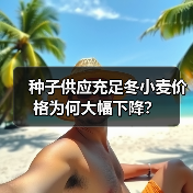 种子供应充足冬小麦价格为何大幅下降?(图1) 种子供应充足冬小麦价格为何大幅下降?(图1)