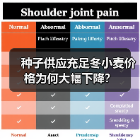 种子供应充足冬小麦价格为何大幅下降?(图3) 种子供应充足冬小麦价格为何大幅下降?(图3)