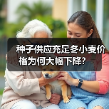 种子供应充足冬小麦价格为何大幅下降?(图4) 种子供应充足冬小麦价格为何大幅下降?(图4)