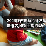 2023陕西拖拉机补贴销量排名揭晓 主销机型价格一览(图1) 2023陕西拖拉机补贴销量排名揭晓 主销机型价格一览(图1)
