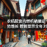 农机配套内燃机销量逆势增长 数据显示全年396.58万台(图2) 农机配套内燃机销量逆势增长 数据显示全年396.58万台(图2)
