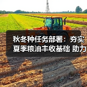秋冬种任务部署：夯实夏季粮油丰收基础 助力“十四五”开局（图3）