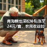 青海耕地深松补贴涨至24元/亩,农民收益如何提升?(图1) 青海耕地深松补贴涨至24元/亩,农民收益如何提升?(图1)