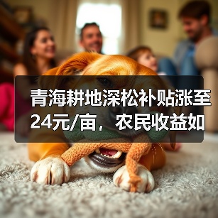 青海耕地深松补贴涨至24元/亩,农民收益如何提升?(图2) 青海耕地深松补贴涨至24元/亩,农民收益如何提升?(图2)