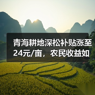 青海耕地深松补贴涨至24元/亩,农民收益如何提升?(图3) 青海耕地深松补贴涨至24元/亩,农民收益如何提升?(图3)