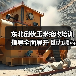东北倒伏玉米抢收培训指导全面展开 助力颗粒归仓(图3) 东北倒伏玉米抢收培训指导全面展开 助力颗粒归仓(图3)
