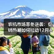 农机市场寒冬逆袭:促销热潮如何拉动12月AMI指数回暖?(图3) 农机市场寒冬逆袭:促销热潮如何拉动12月AMI指数回暖?(图3)