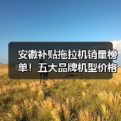安徽补贴拖拉机销量榜单!五大品牌机型价格深度解析(图3) 安徽补贴拖拉机销量榜单!五大品牌机型价格深度解析(图3)