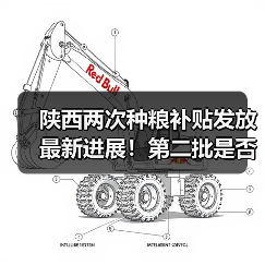 陕西两次种粮补贴发放最新进展！第二批是否已到账？粮农反馈如何？（图3）