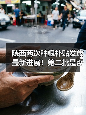 陕西两次种粮补贴发放最新进展！第二批是否已到账？粮农反馈如何？（图2）