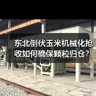 东北倒伏玉米机械化抢收如何确保颗粒归仓?(图1) 东北倒伏玉米机械化抢收如何确保颗粒归仓?(图1)