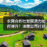 农民合作社发展活力如何提升？清理空壳社扶持政策显成效（图2）
