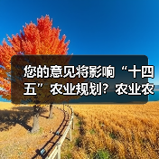 您的意见将影响“十四五”农业规划？农业农村部公开征集建议（图2）
