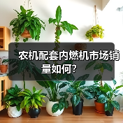 农机配套内燃机市场销量如何？（图2）