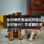乡村绿色发展如何推动乡村振兴？专家解析关键路径（图2）