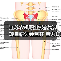 江苏农机职业技能培训项目研讨会召开 着力规范实施与质量提升（图2）