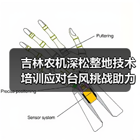 吉林农机深松整地技术培训应对台风挑战助力收官（图4）