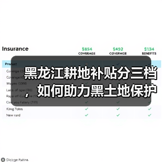 黑龙江耕地补贴分三档，如何助力黑土地保护？（图2）