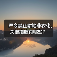 严令禁止耕地非农化，关键措施有哪些？（图1）