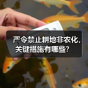 严令禁止耕地非农化，关键措施有哪些？（图4）