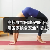 高标准农田建设如何保障国家粮食安全？农业农村部详解关键举措（图1）