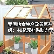 我国粮食生产政策再升级：40亿元补贴助力早稻稳产（图4）