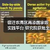 宿迁农高区再添国家级实践平台 研究院获批全国农业专业学位研究生实践基地（图2）