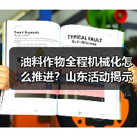油料作物全程机械化怎么推进？山东活动揭示发展瓶颈与突破方向（图3）