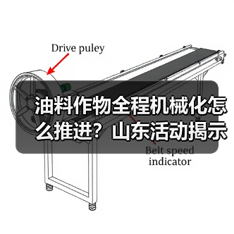 油料作物全程机械化怎么推进？山东活动揭示发展瓶颈与突破方向（图4）