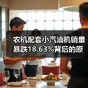农机配套小汽油机销量暴跌18.63%背后的原因何在？（图2）